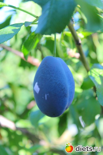 Осень на пороге