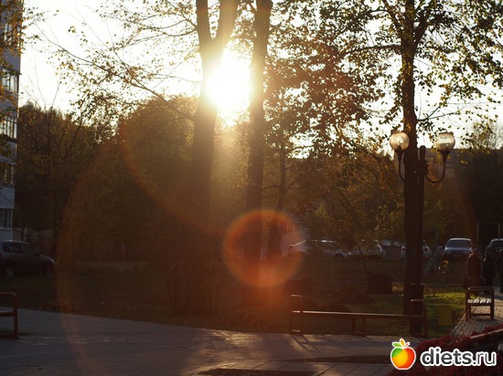 Солнечная осень. Тамбов, Парк Баратынского, октябрь, 2016