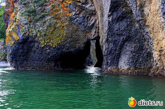 59 ����: ��������, ������ 2016