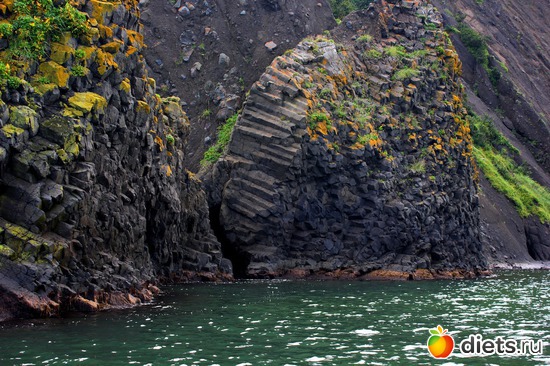 �������!, ������: ��������, ������ 2016