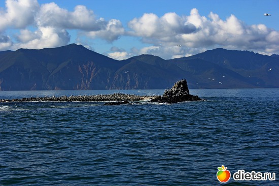 62 ����: ��������, ������ 2016