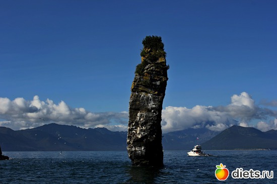 ��� ��� �������? � ��� ���� ����� ������� ����� ���� ;), ������: ��������, ������ 2016