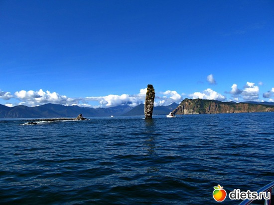 64 ����: ��������, ������ 2016