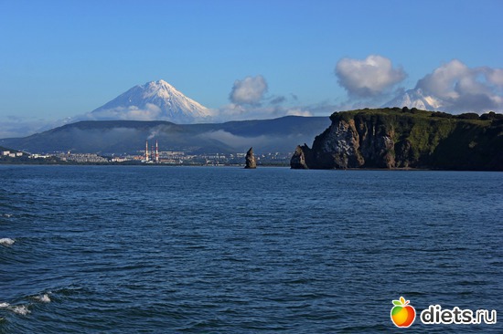 65 ����: ��������, ������ 2016