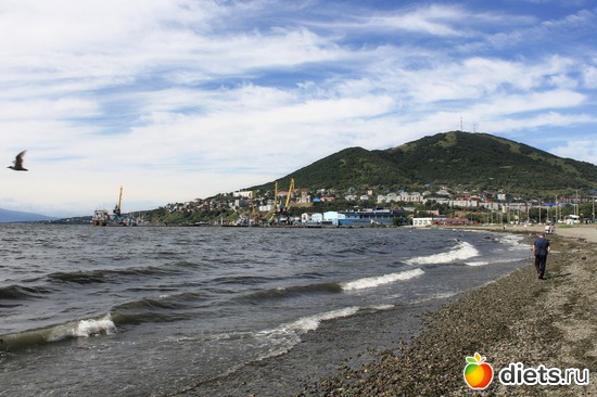 4 ����: ��������, ������ 2016