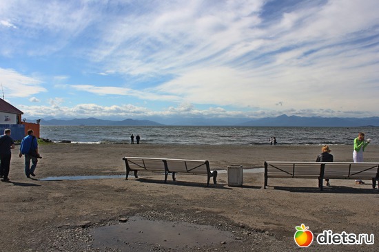 5 ����: ��������, ������ 2016