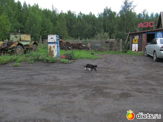 20 ����: ��������, ������ 2016