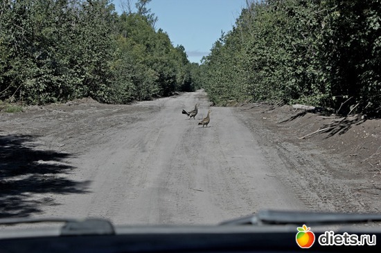 24 ����: ��������, ������ 2016