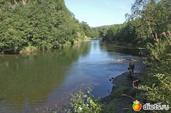 ��, �������!, ������: ��������, ������ 2016