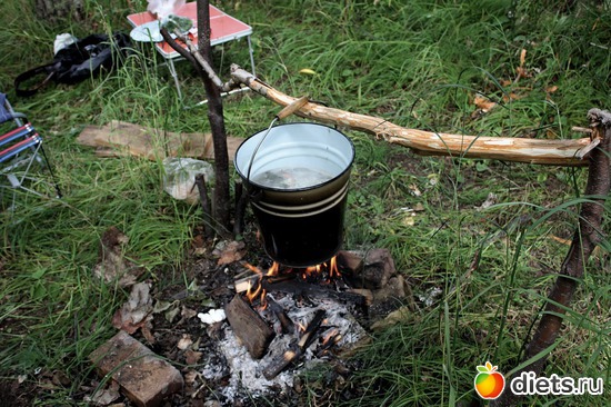 � ����� ����� �� ��������� �����..., ������: ��������, ������ 2016