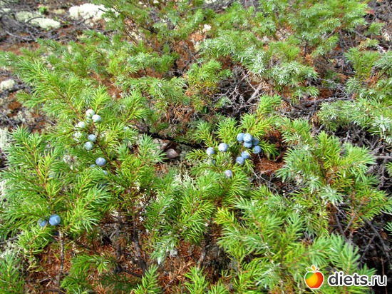 30 ����: ��������, ������ 2016