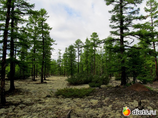 34 ����: ��������, ������ 2016