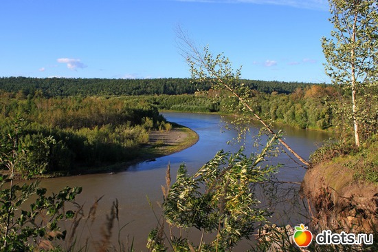 36 ����: ��������, ������ 2016