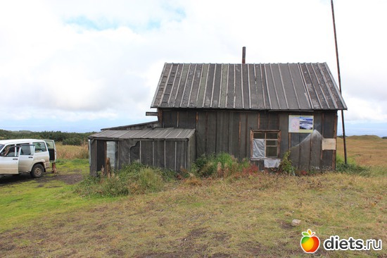 ����� ��������, ������: ��������, ������ 2016