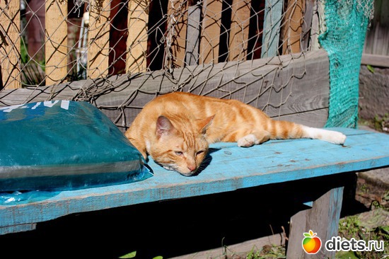 ������ �� ��������, ������: ��������, ������ 2016