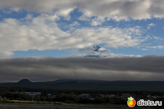 ������� ������� ��� ��������, ������: ��������, ������ 2016