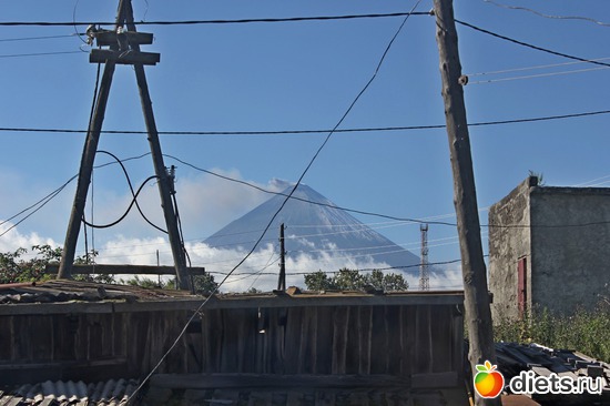 41 ����: ��������, ������ 2016