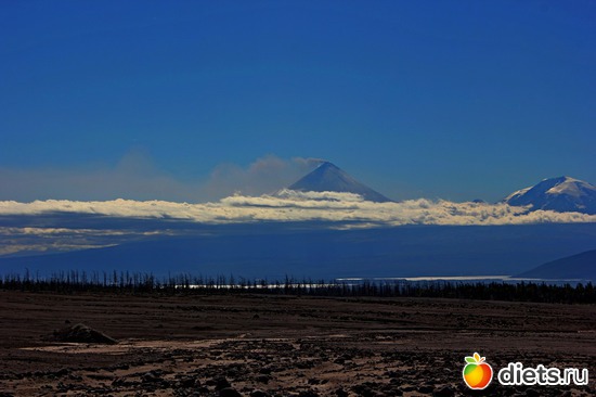 42 ����: ��������, ������ 2016