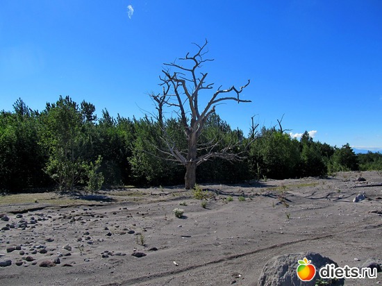 ������������� ����� � ���� �� ������� ���������� �� ������ �������, ������: ��������, ������ 2016