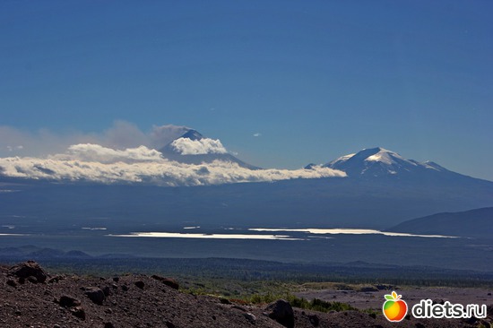 44 ����: ��������, ������ 2016