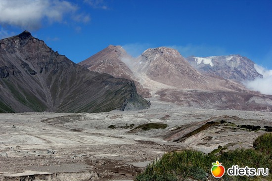 45 ����: ��������, ������ 2016