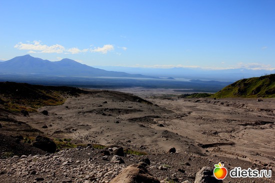 �����, ��� �������, ���, ������: ��������, ������ 2016