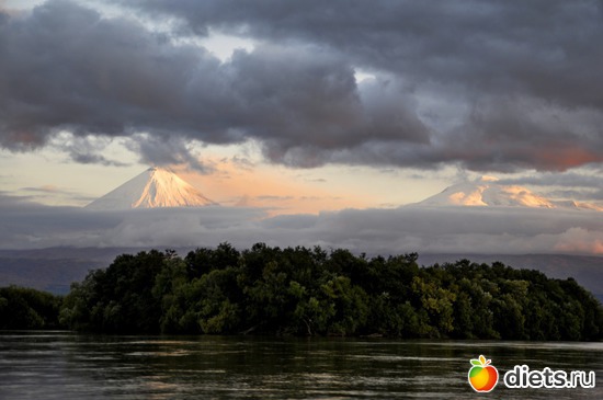 47 ����: ��������, ������ 2016