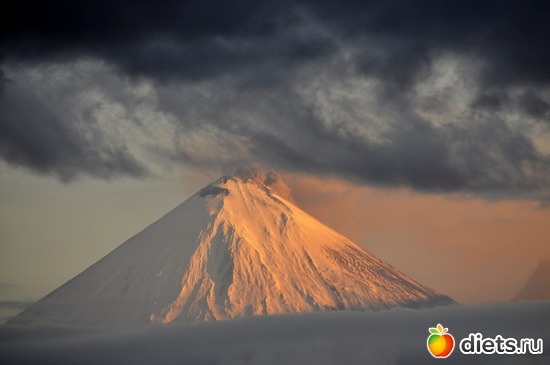 48 ����: ��������, ������ 2016