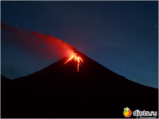 ������� ����, ������: ��������, ������ 2016