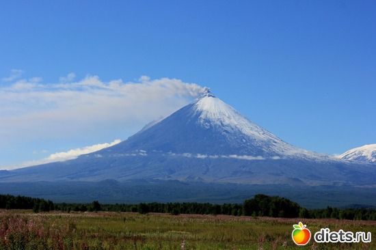 50 ����: ��������, ������ 2016