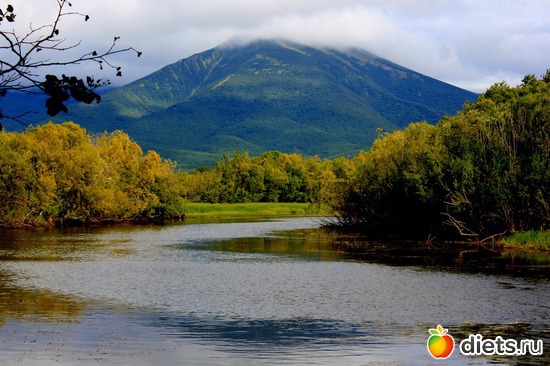 �����������..., ������: ��������, ������ 2016