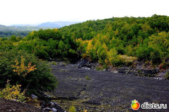 54 ����: ��������, ������ 2016