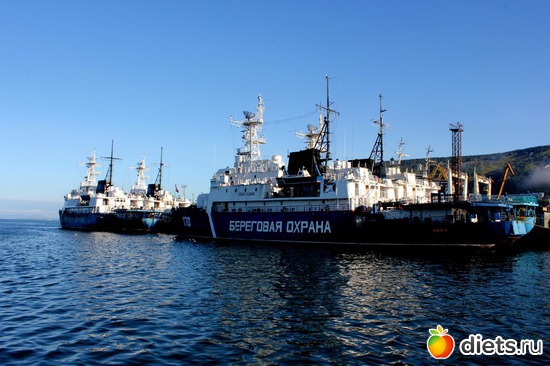 � �����, ������: ��������, ������ 2016