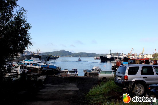 56 ����: ��������, ������ 2016