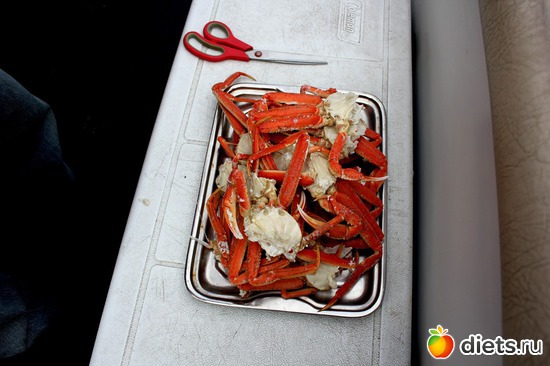 �������!, ������: ��������, ������ 2016