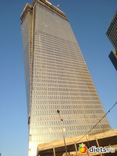 65 ����: ���� ����