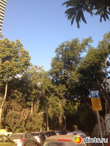 72 ����: ���� ����