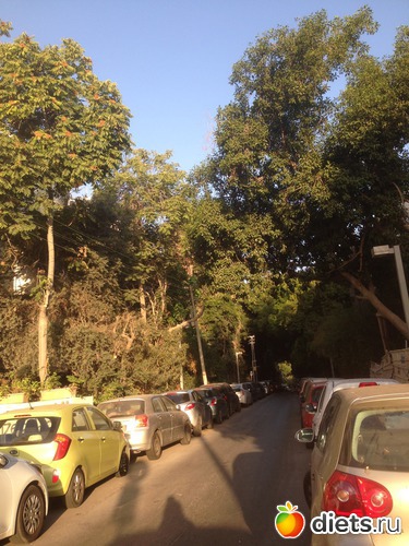 73 ����: ���� ����