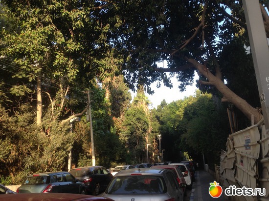 74 ����: ���� ����