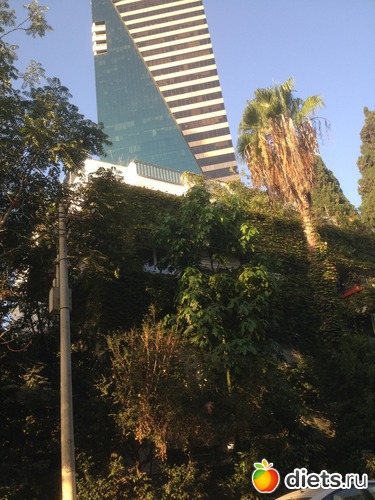 75 ����: ���� ����