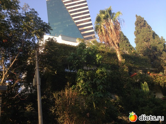 76 ����: ���� ����