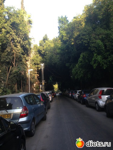 77 ����: ���� ����