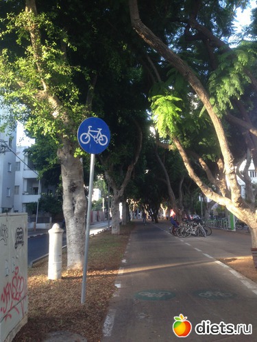 78 ����: ���� ����