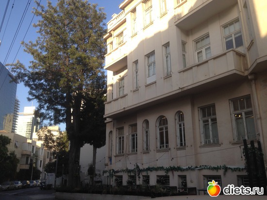 81 ����: ���� ����