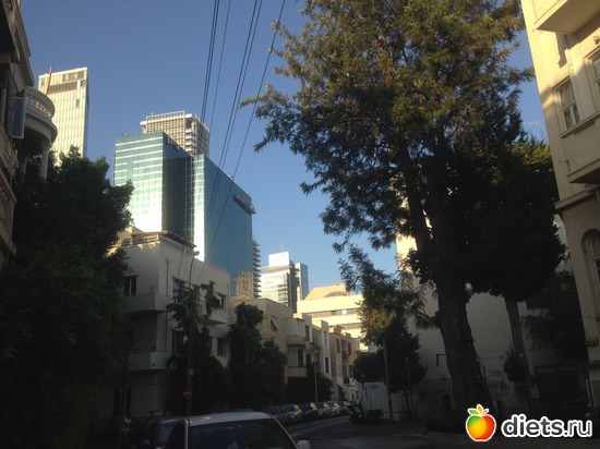 83 ����: ���� ����