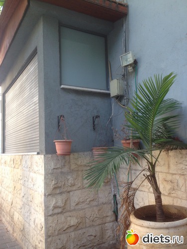 131 ����: ���� ����