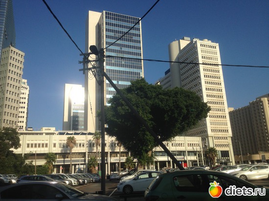 141 ����: ���� ����