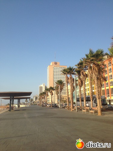 142 ����: ���� ����