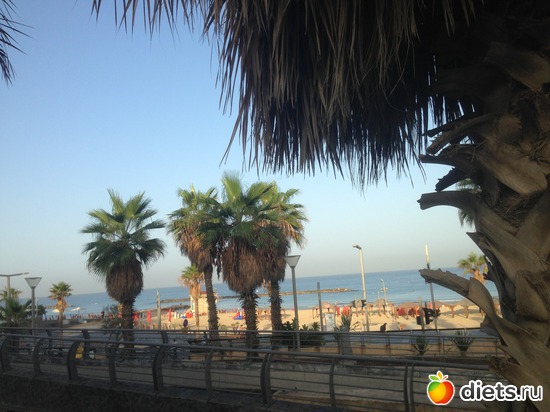 144 ����: ���� ����