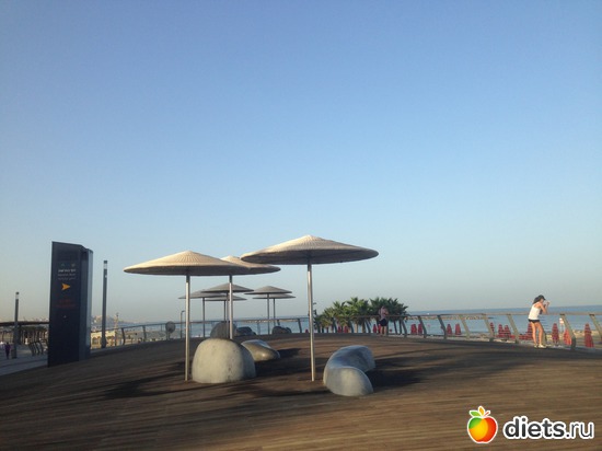 146 ����: ���� ����